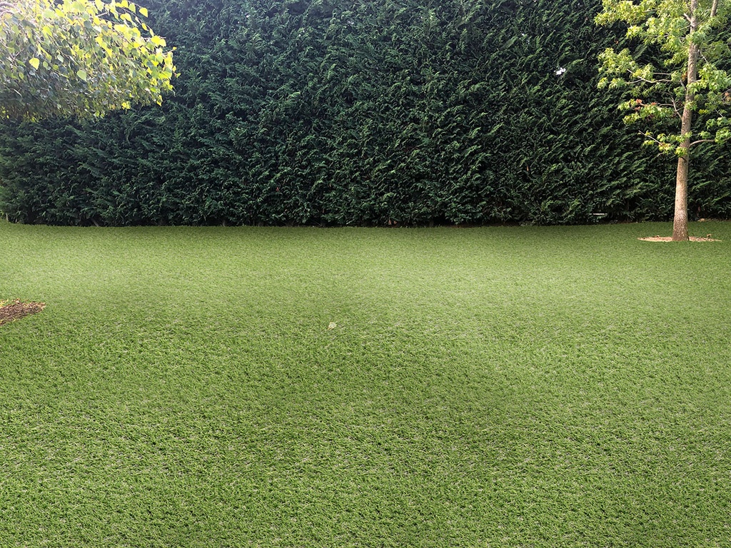 Emerald Green Turf - Lawn