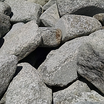 Waterwashed Mountain Ash Granite Alpine Flats